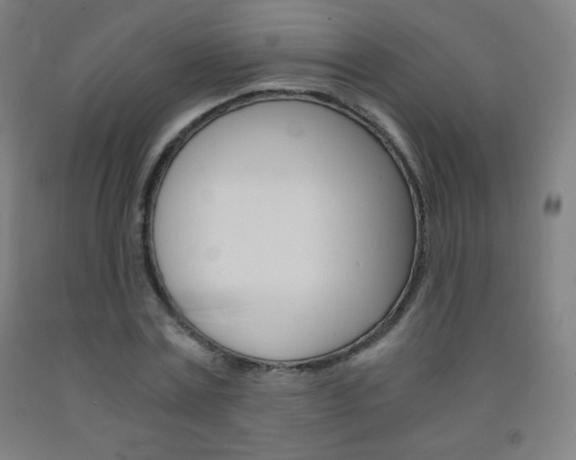 X0000093120779200709261013