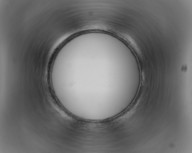 X0000093120780200709261013