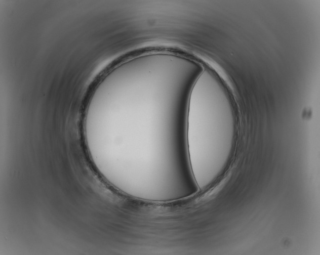 X0000093120783200709261013