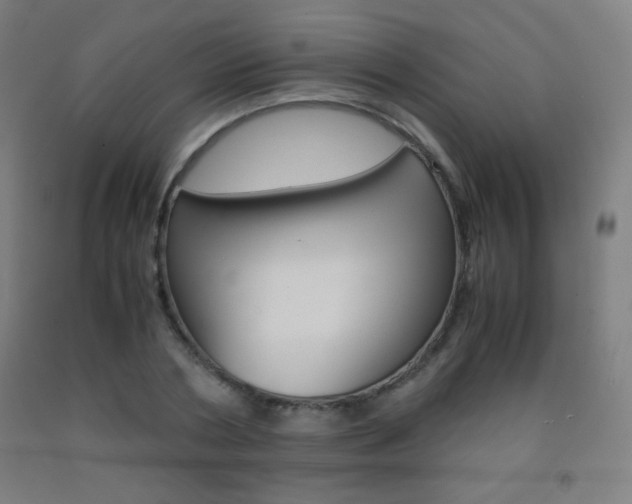 X0000093120786200709261013
