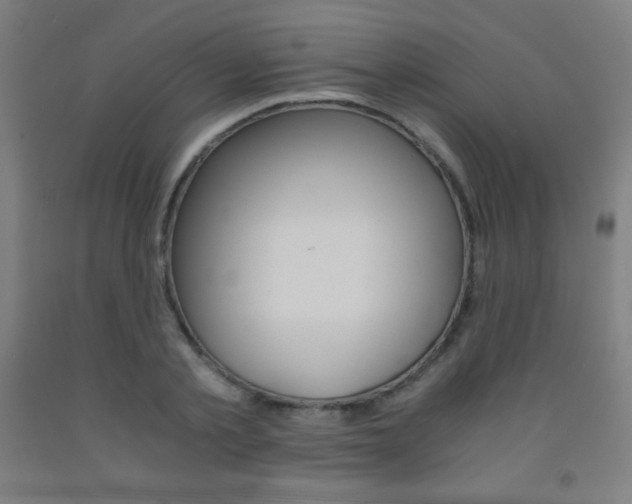 X0000093120789200709261013