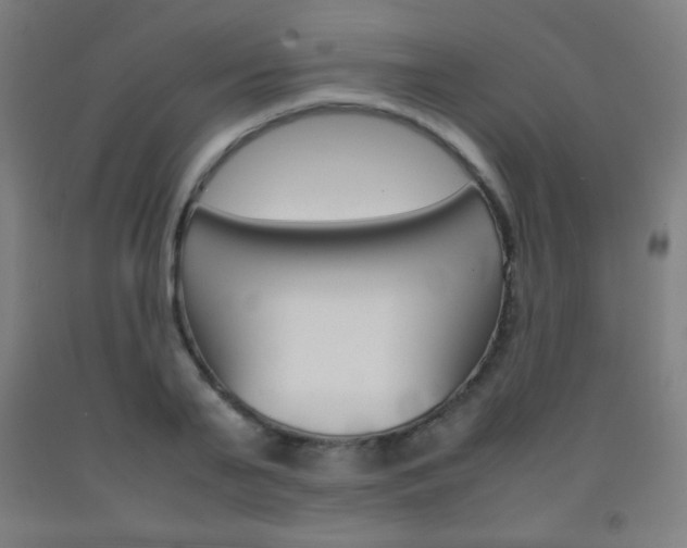 X0000093120791200709261013
