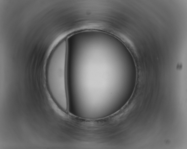 X0000093120792200709261013