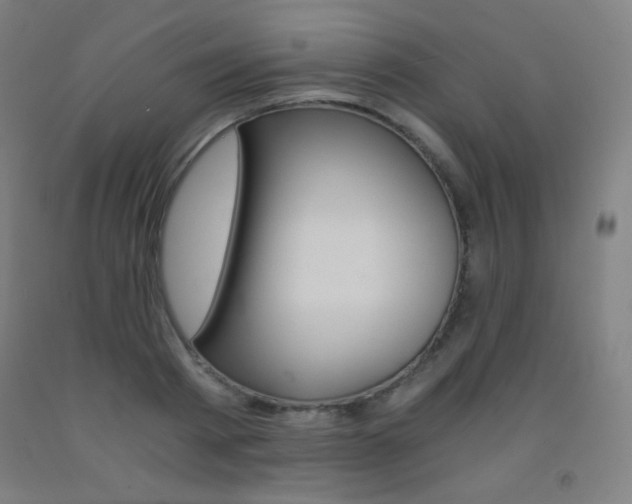 X0000093120793200709261013