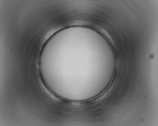 X0000093120794200709261013