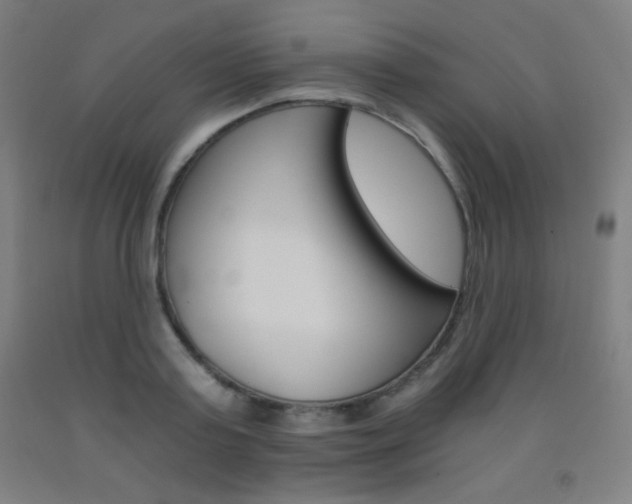 X0000093120795200709261013