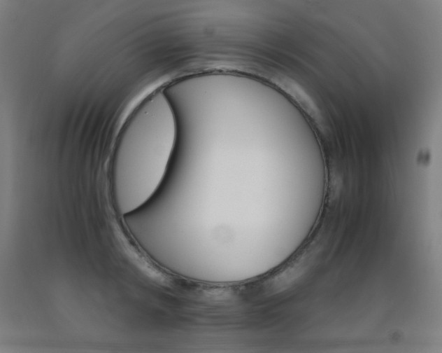 X0000093120798200709261013