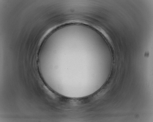 X0000093120799200709261013