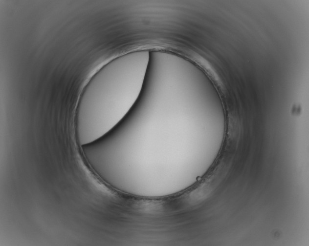 X0000093120802200709261013