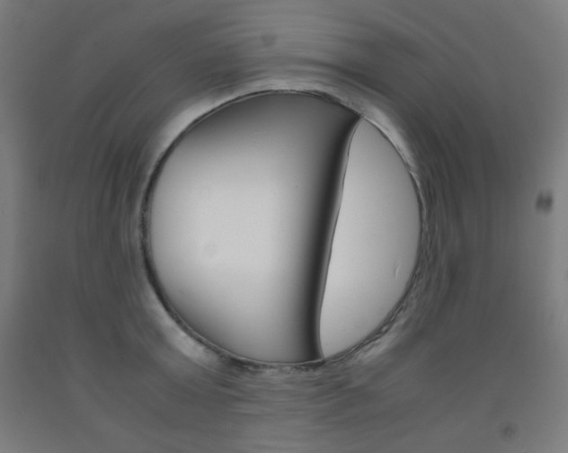 X0000093120803200709261013