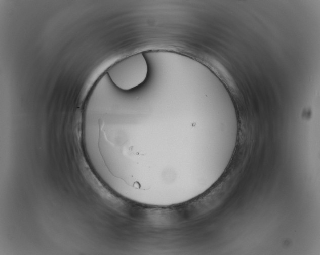 X0000093120804200709261013