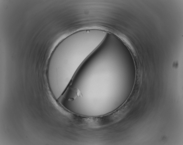 X0000093120805200709261013
