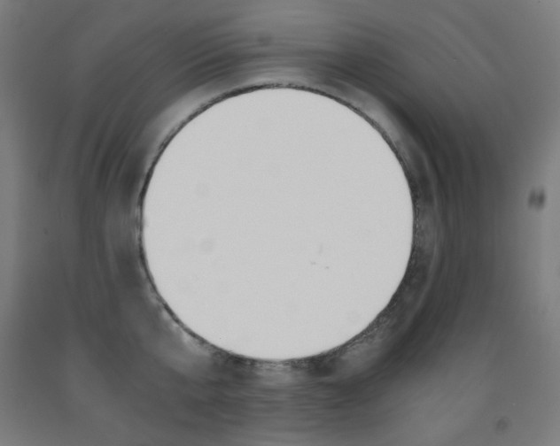 X0000093120807200709261013