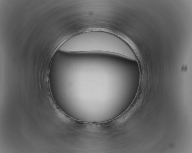 X0000093120809200709261013