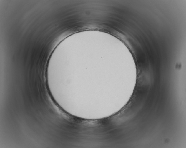X0000093120810200709261013