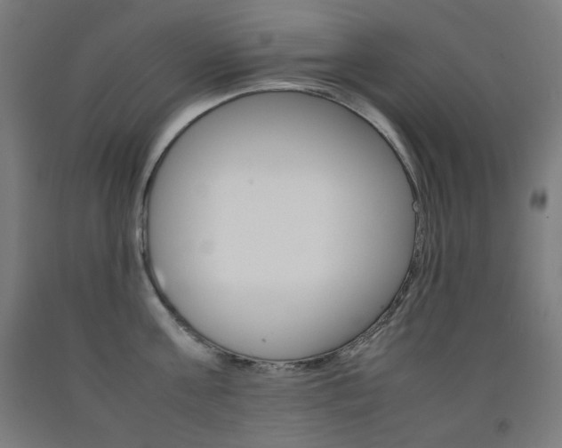 X0000093120811200709261013