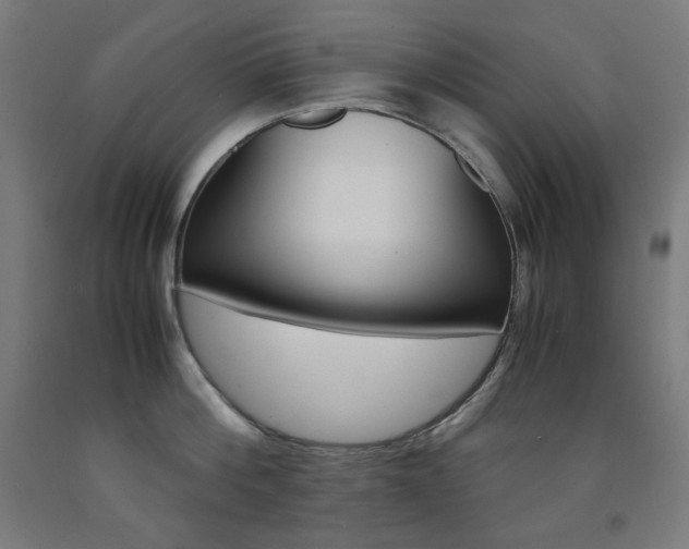 X0000093120812200709261013