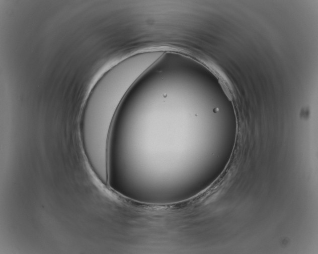 X0000093120813200709261013