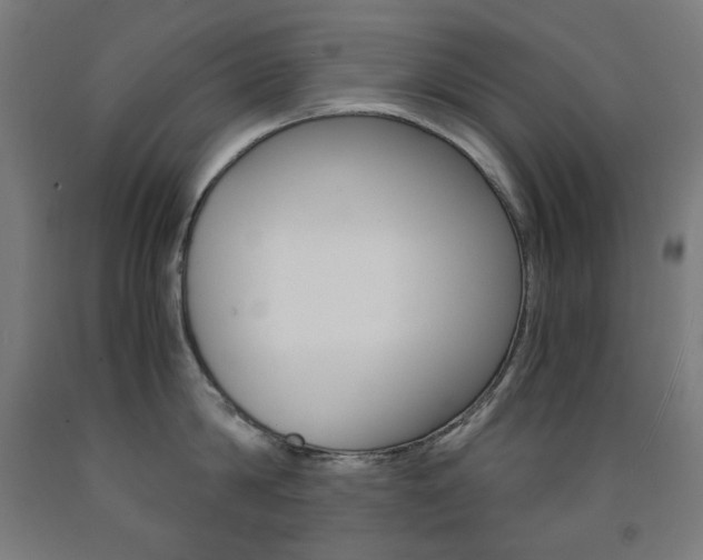 X0000093120814200709261013