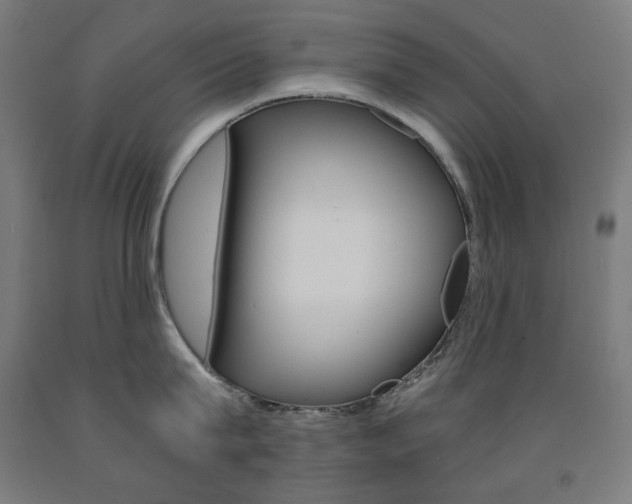 X0000093120815200709261012