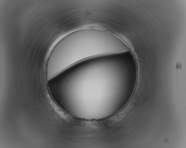 X0000093120816200709261012