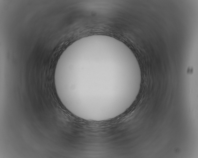 X0000093120818200709261012