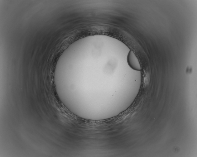 X0000093120819200709261012