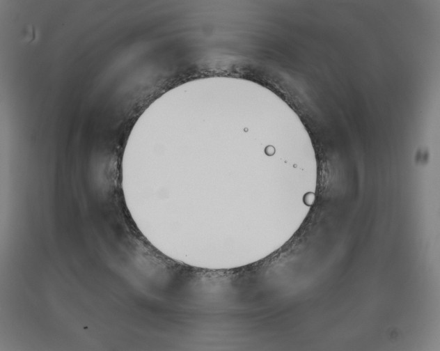 X0000093120820200709261012