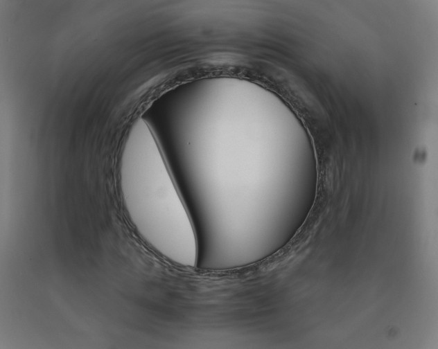 X0000093120821200709261012