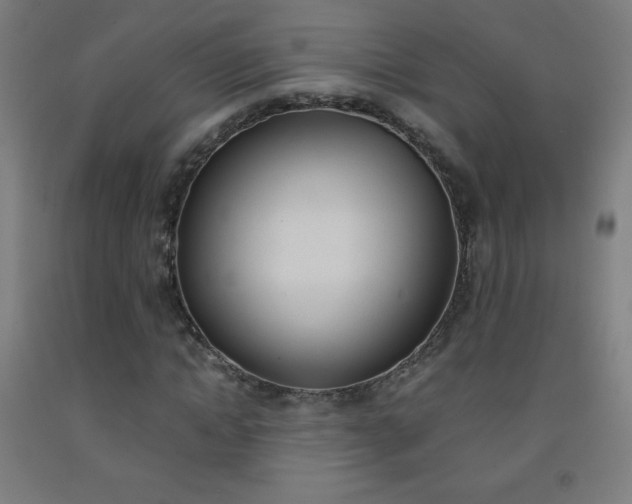 X0000093120822200709261012