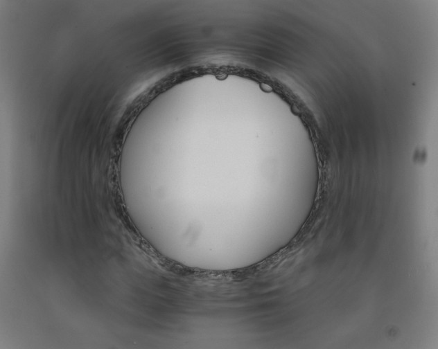 X0000093120823200709261012