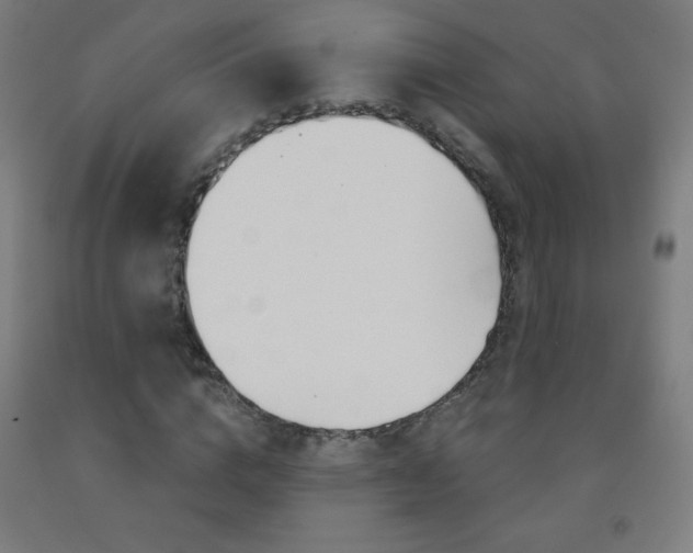 X0000093120824200709261012