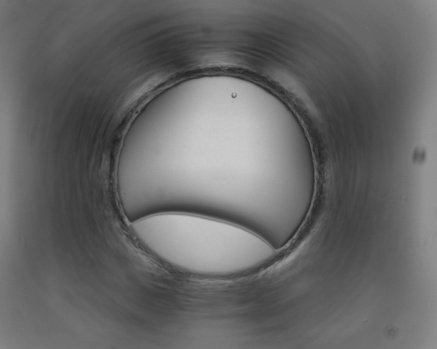 X0000093120825200709261012