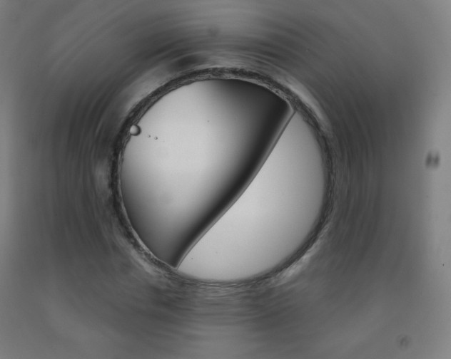 X0000093120826200709261012
