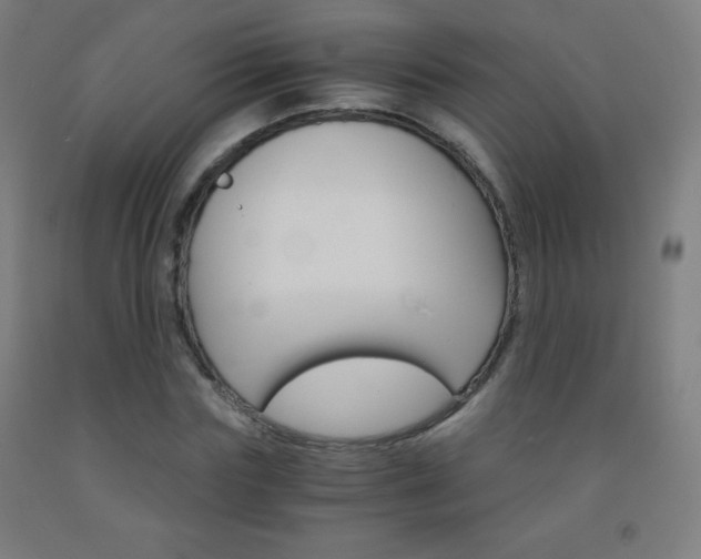 X0000093120827200709261012
