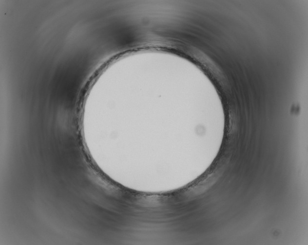 X0000093120828200709261012