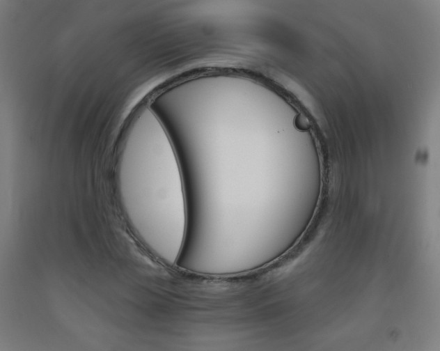 X0000093120829200709261012