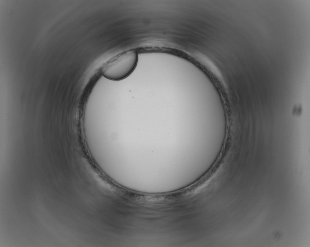 X0000093120831200709261012