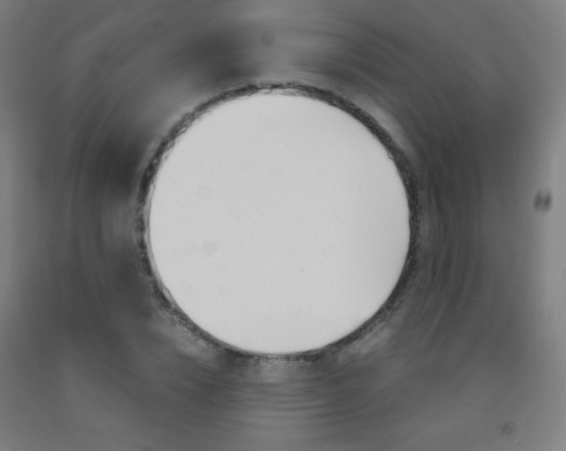 X0000093120832200709261012
