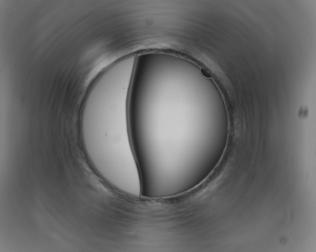 X0000093120834200709261012