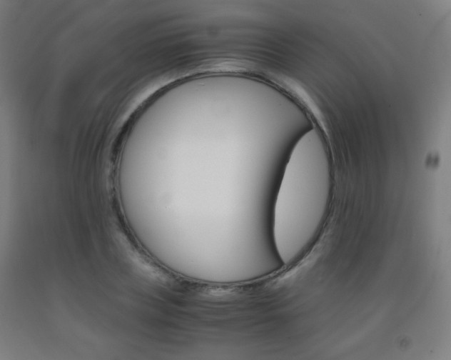 X0000093120835200709261012