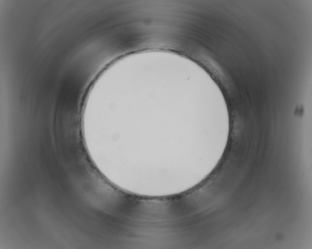 X0000093120836200709261012