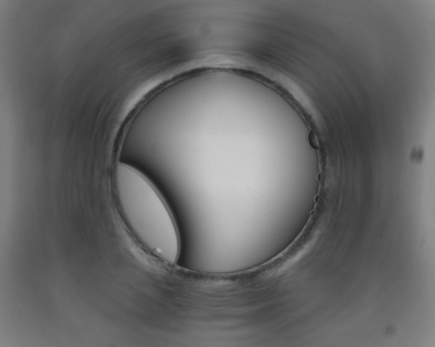 X0000093120837200709261012