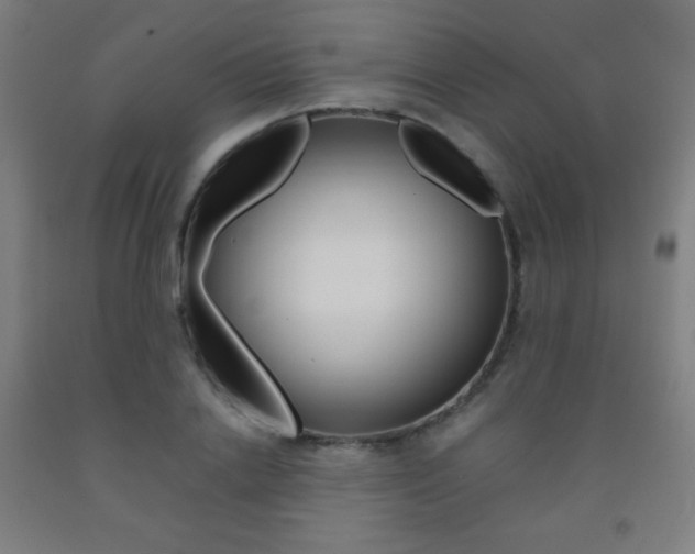 X0000093120838200709261012