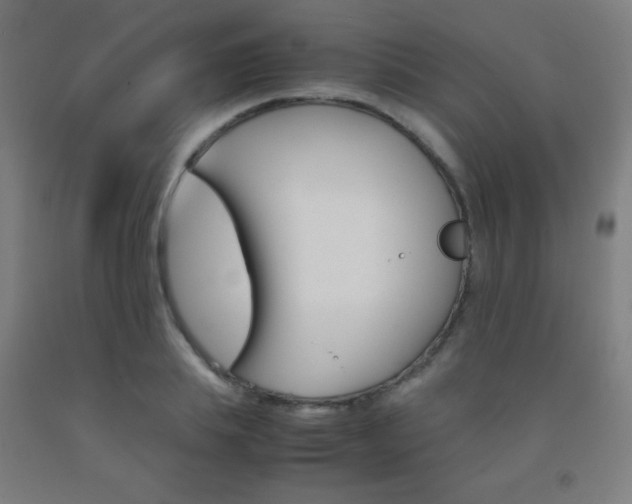 X0000093120839200709261012