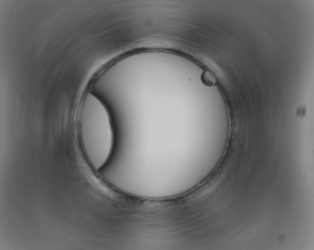 X0000093120840200709261012