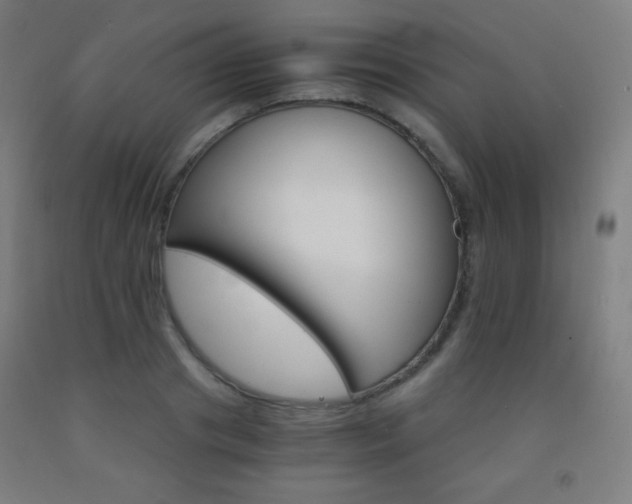 X0000093120841200709261012