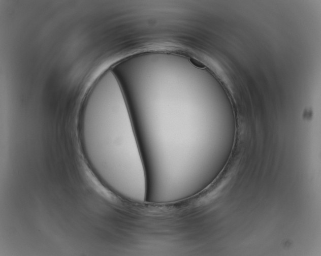 X0000093120843200709261012