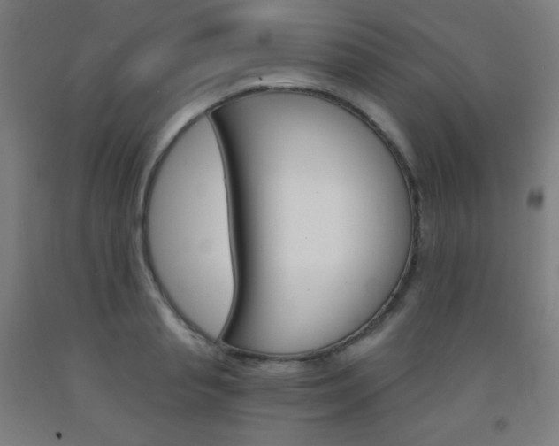 X0000093120845200709261012