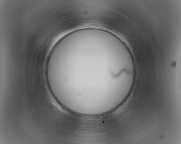 X0000093120846200709261012